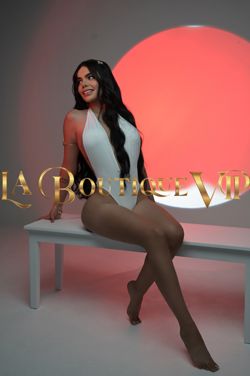 cc3_2025121003059.jpg - (500x751)