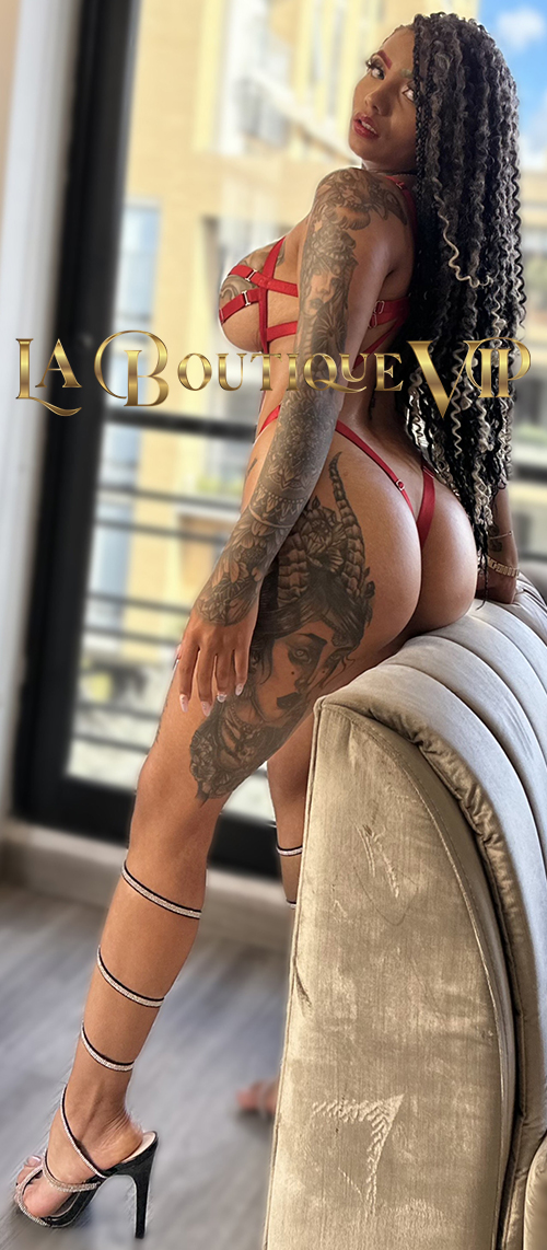 B1_2025120604030.jpg - (500x1142)