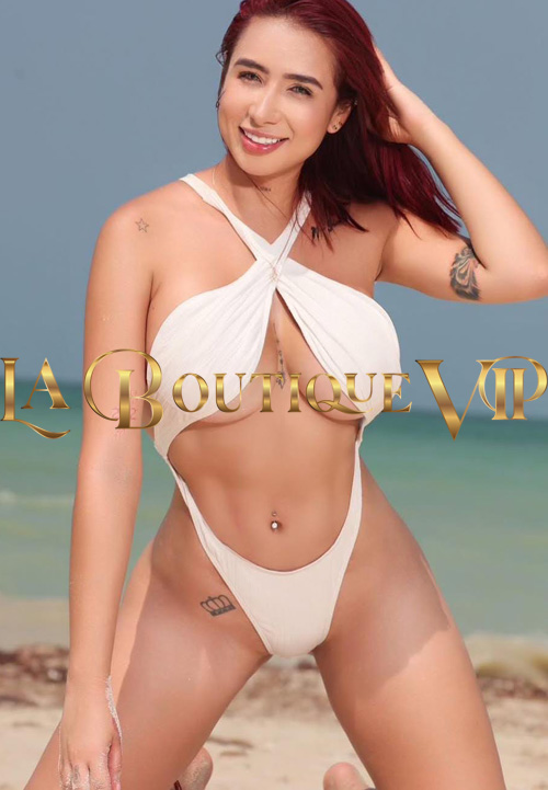 BC5_2025112204051.jpg - (500x721)